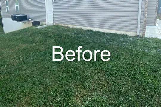 sod installation service smithton il