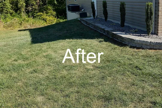 sprinkler system installation near smithton il